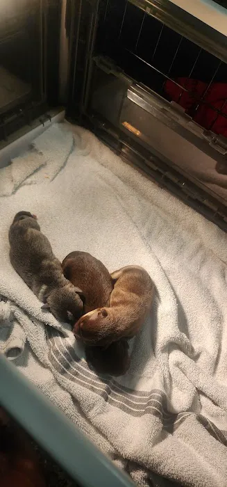 Rock River Veterinary Clinic Picture 3