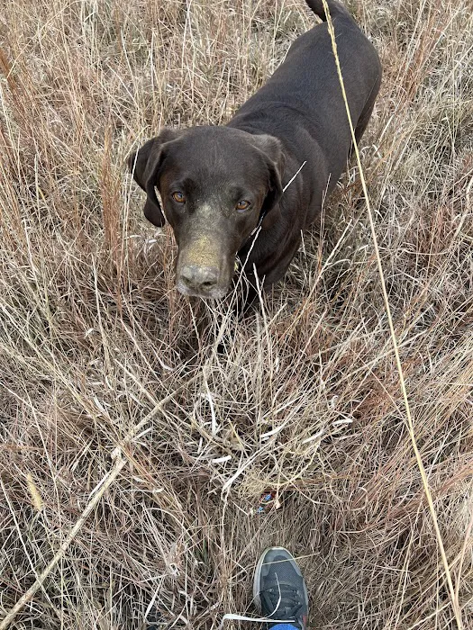 Carlson Veterinary Hospital Picture 2