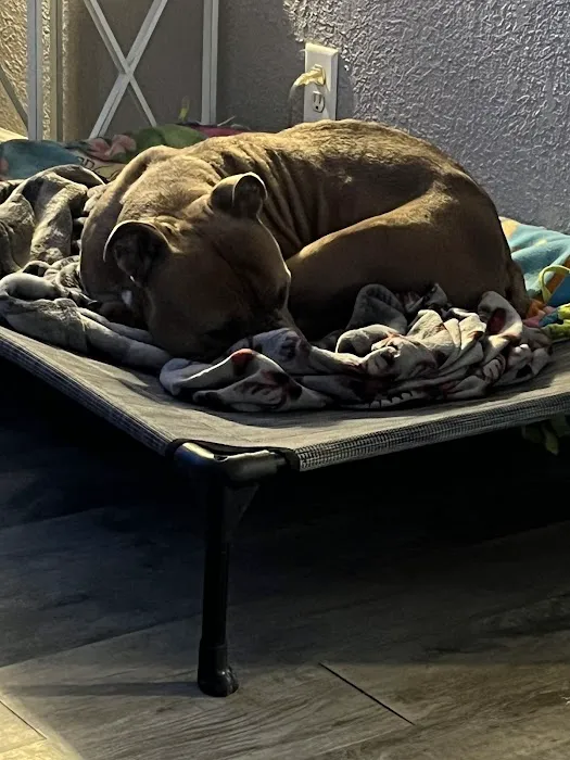 Carlson Veterinary Hospital Picture 4