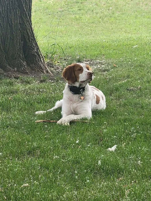 Carlson Veterinary Hospital Picture 5