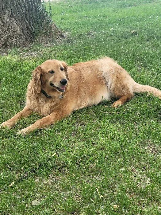 Carlson Veterinary Hospital Picture 9