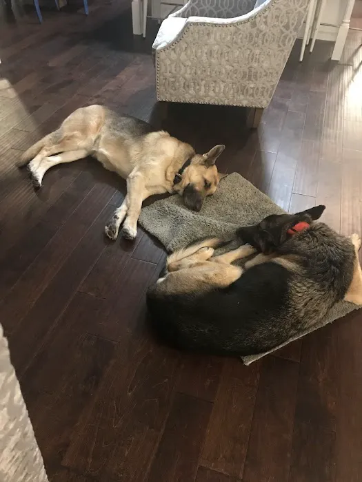 Carlson Veterinary Hospital Picture 6