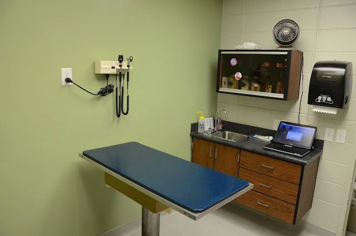The Animal Clinic Picture 3