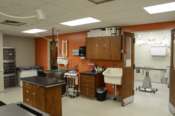 The Animal Clinic Picture 1