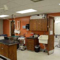 The Animal Clinic ico