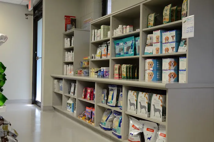 The Animal Clinic Picture 2