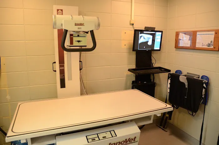 The Animal Clinic Picture 7