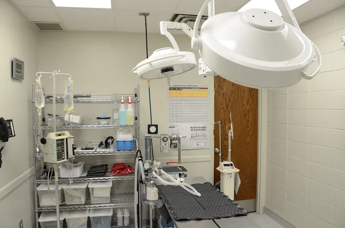 The Animal Clinic Picture 6