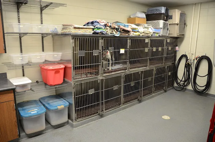 The Animal Clinic Picture 5