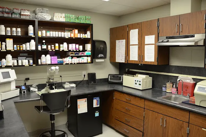 The Animal Clinic Picture 10