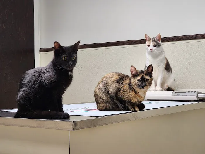 Valley View Veterinary Clinic Picture 7