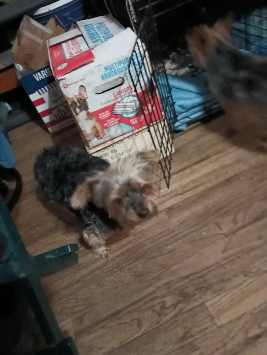 Council Bluffs Veterinary Clinic: Nelson David H DVM Picture 1