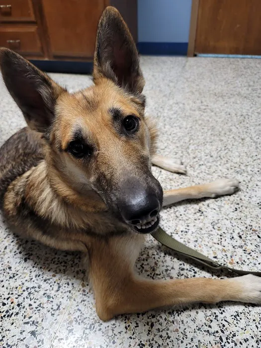 Council Bluffs Veterinary Clinic Picture 6