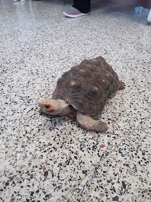 Council Bluffs Veterinary Clinic Picture 4