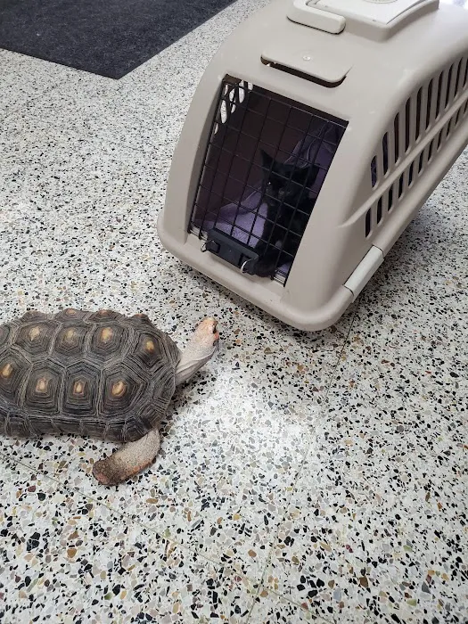 Council Bluffs Veterinary Clinic Picture 10