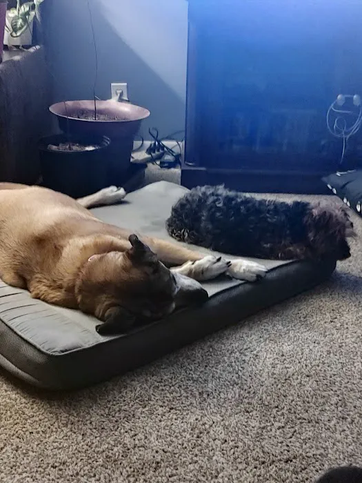 Council Bluffs Veterinary Clinic Picture 9