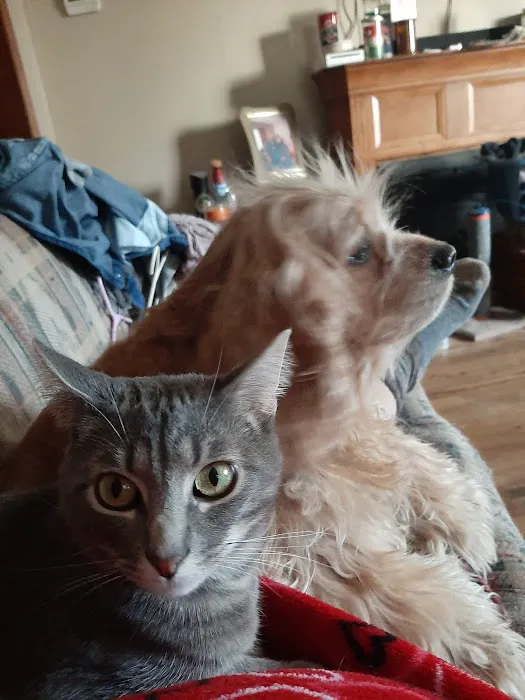 Lamoni Veterinary Clinic Picture 1