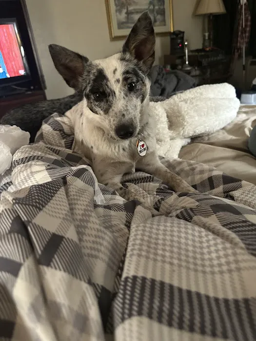 Lamoni Veterinary Clinic Picture 2