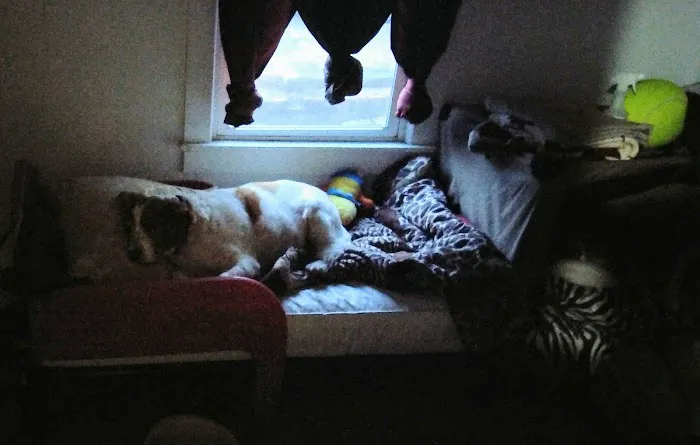 Twin Oaks Veterinary Clinic Picture 8