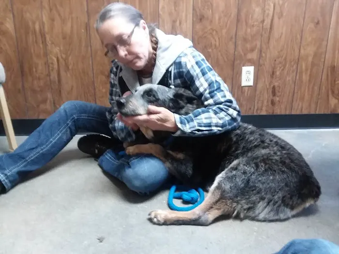 Twin Oaks Veterinary Clinic Picture 9