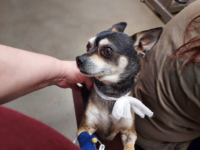 Oak Valley Animal Health Picture 1