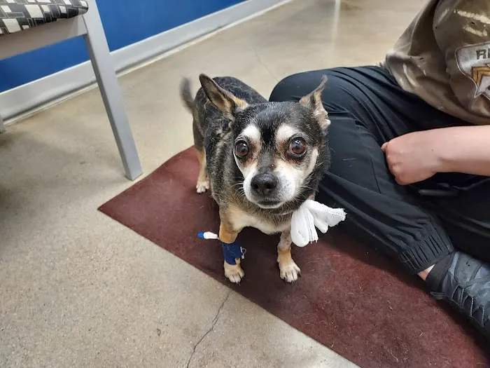 Oak Valley Animal Health Picture 3