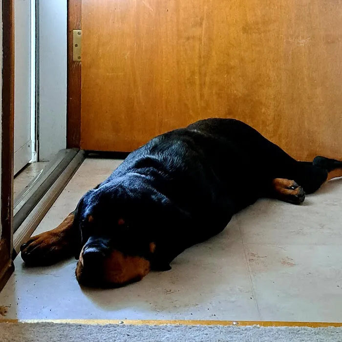 Oak Valley Animal Health Picture 5