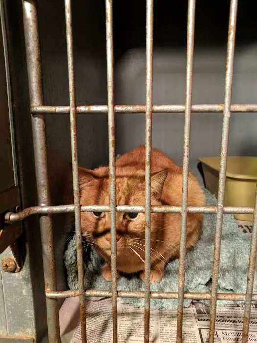 Story Eugene DVM Picture 2