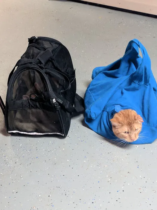 Story Eugene DVM Picture 1