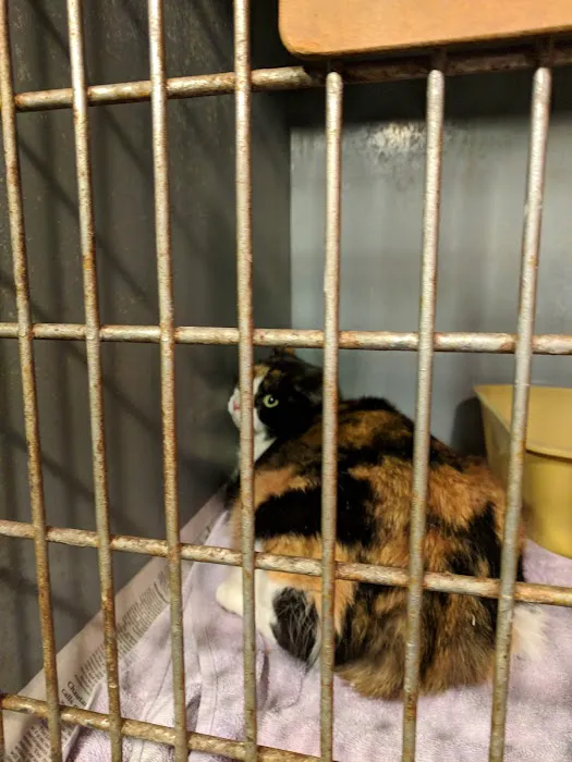 Story Eugene DVM Picture 4