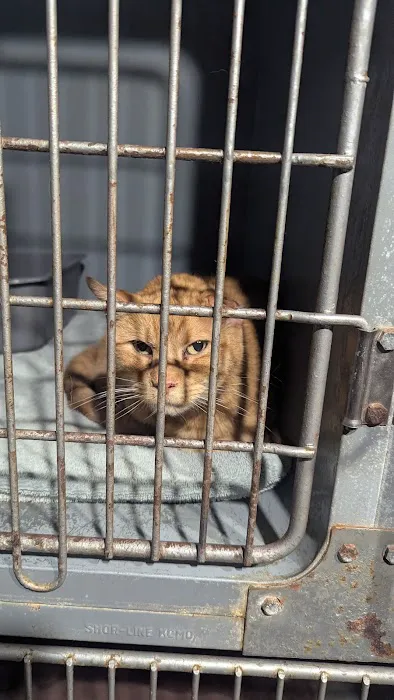 Gallatin Veterinary Clinic Picture 1