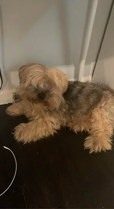 Chillicothe Animal Hospital Picture 2