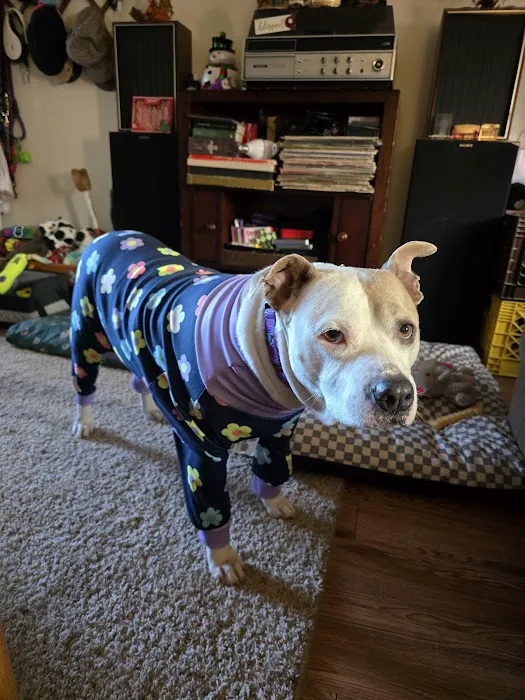 Chillicothe Animal Hospital Picture 4