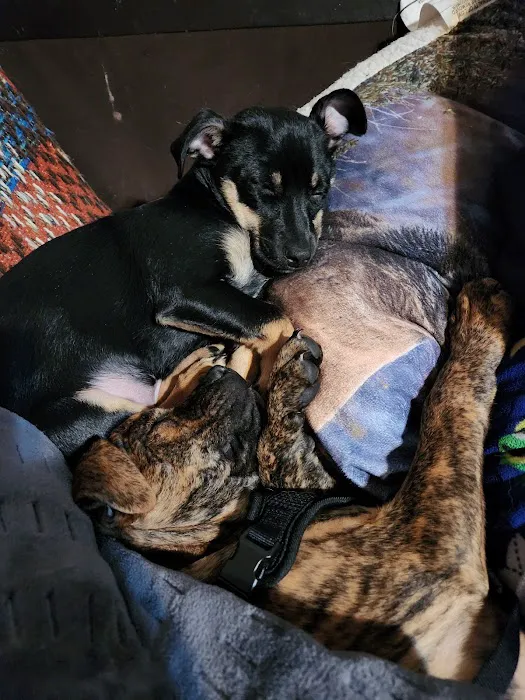 Chillicothe Animal Hospital Picture 7