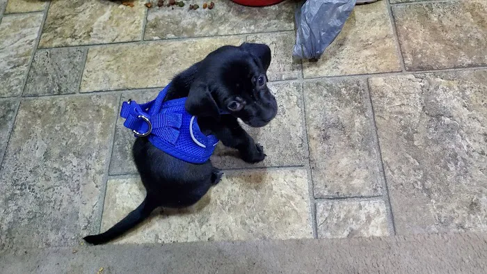 Chillicothe Animal Hospital Picture 8