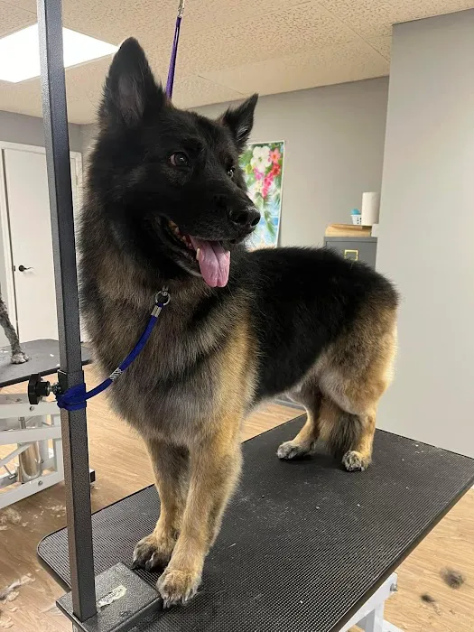 Sugar Creek Veterinary Services Picture 2