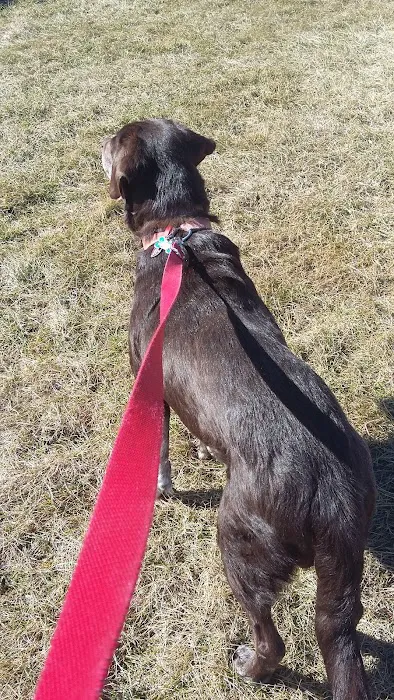 Sugar Creek Veterinary Services Picture 10