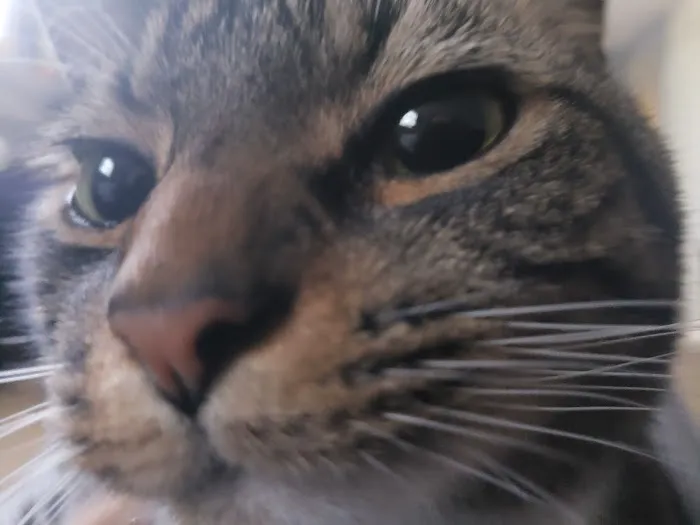 Sugar Creek Veterinary Services Picture 9