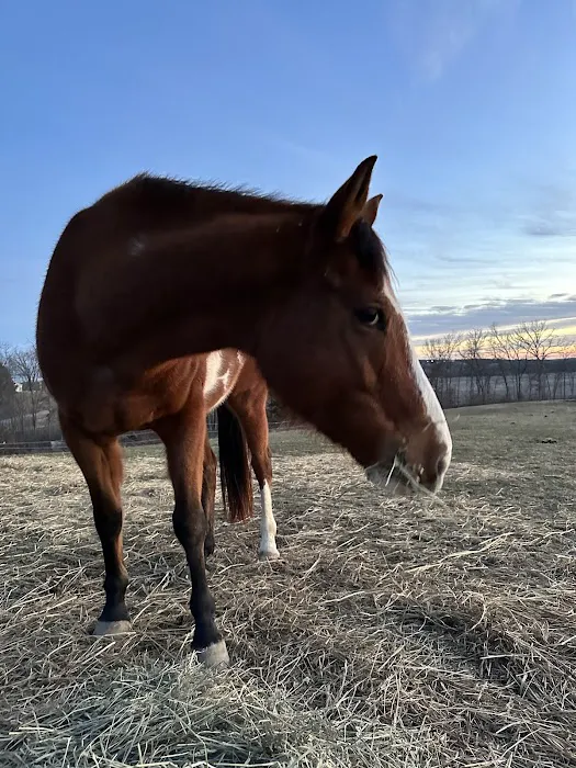 Green Hills Veterinary Clinic Picture 3