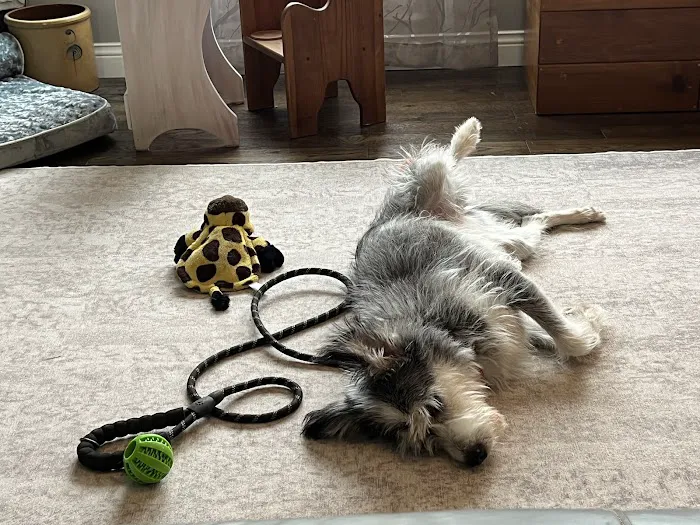 Green Hills Veterinary Clinic Picture 5