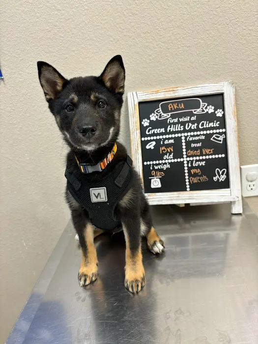 Green Hills Veterinary Clinic Picture 7