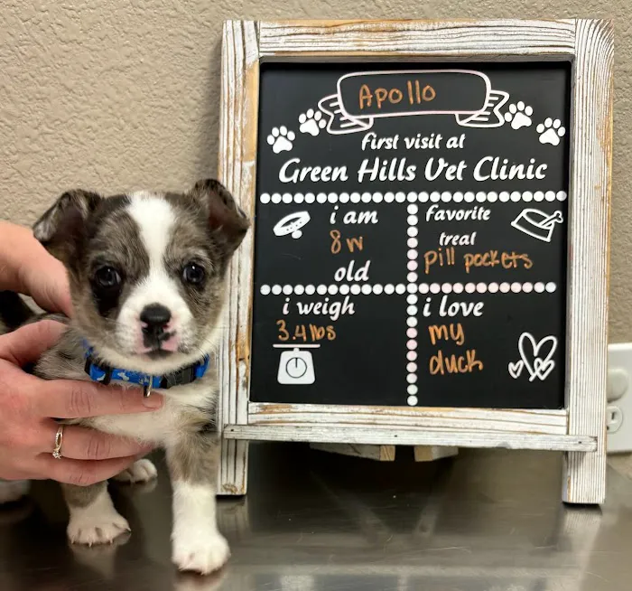 Green Hills Veterinary Clinic Picture 10