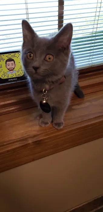 Skyview Animal Clinic Picture 4