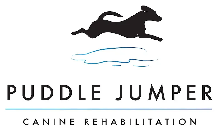 Puddle Jumper Canine Rehabilitation Picture 1