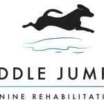Puddle Jumper Canine Rehabilitation