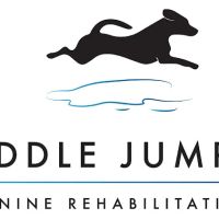 Puddle Jumper Canine Rehabilitation ico