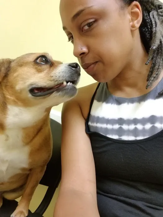 Heartland Veterinary Care Picture 1