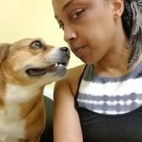 Heartland Veterinary Care ico