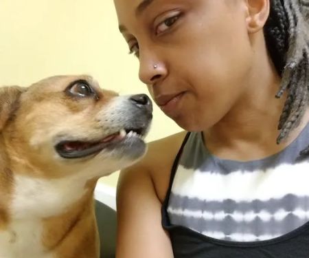 Heartland Veterinary Care