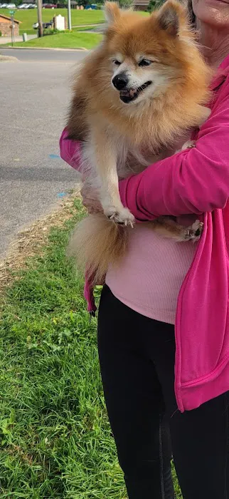 Heartland Veterinary Care Picture 2